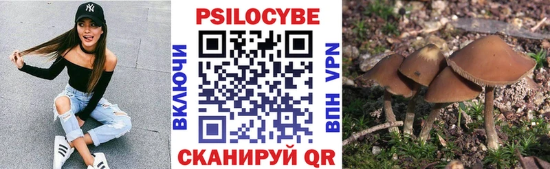 Галлюциногенные грибы Psilocybe  Сим 
