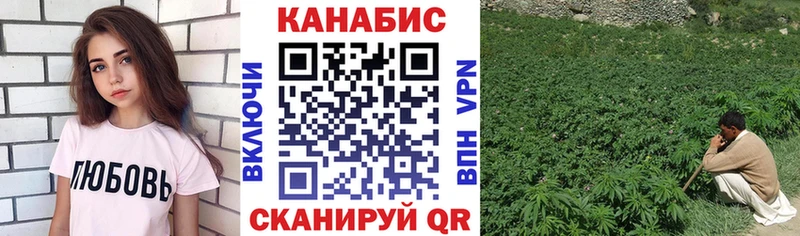 купить   Сим  гидра   Каннабис гибрид 